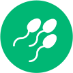 El semen